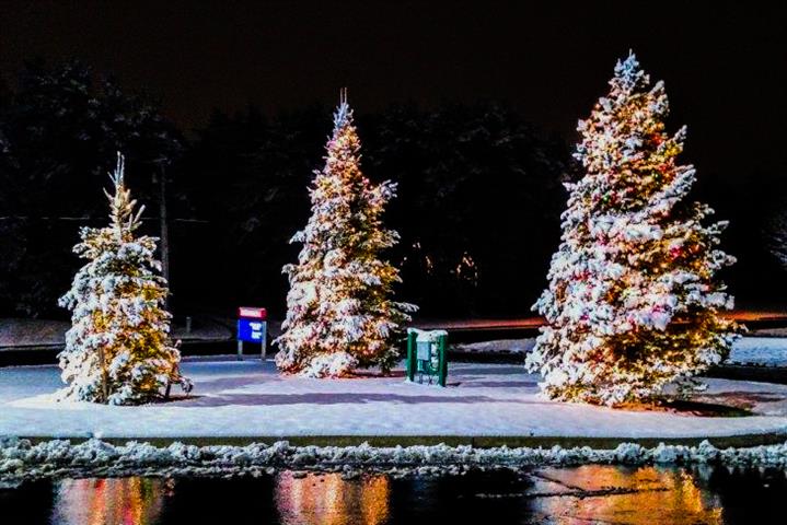 Love Light at Black River Health tree lit with lights for Christmas