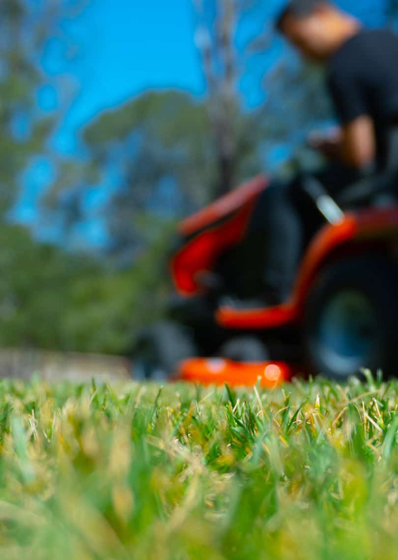 landscaping-05b
