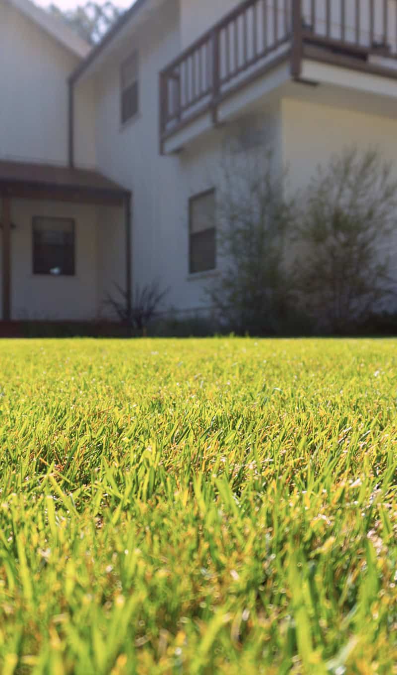 landscaping-07b
